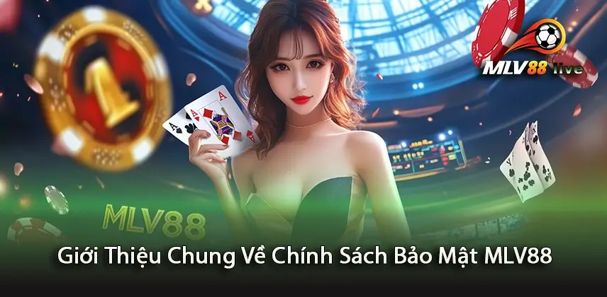 Tìm Hiểu Về Giói Thiệu Chung Chính Sách Bảo Mật MLV88