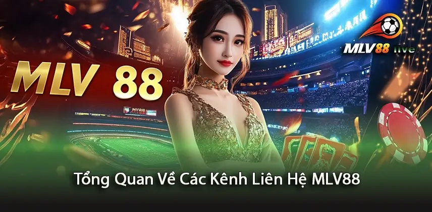 Khám Phá Các Kênh Liên Hệ MLV88